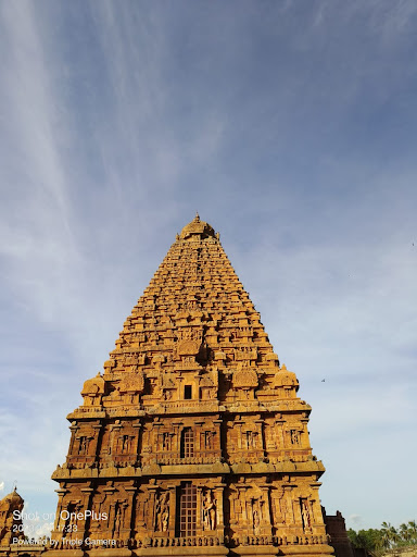 Gallery image 8