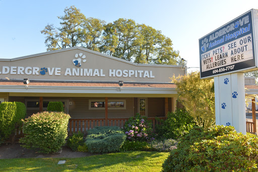 Aldergrove Animal Hospital - Thumbnail