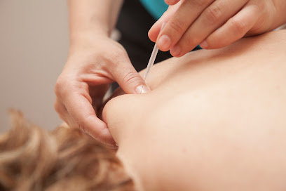 VICARE - FISIO&SALUD