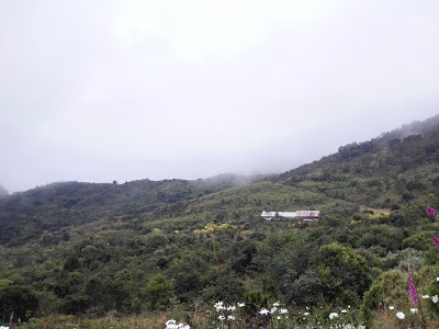 Photos of P&aacute;ramo Guerrero