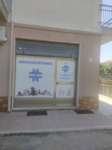 Ambulatorio veterinario Dr. Sabatini Antonio - Thumbnail