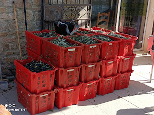Photo n°11 de Moulin à huile Le Verdalet à Bessas (Fabricant d'huile d'olive)