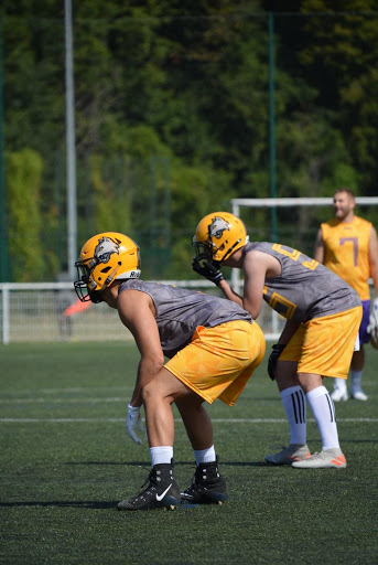 Hazebrouck Wildcats