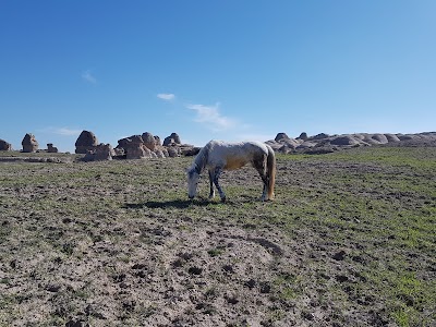 sirius horse riding & camping