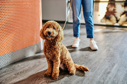 Dogtopia of Round Rock