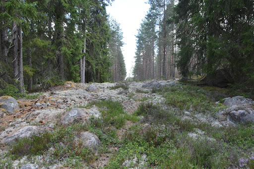 Visjön - Visual
