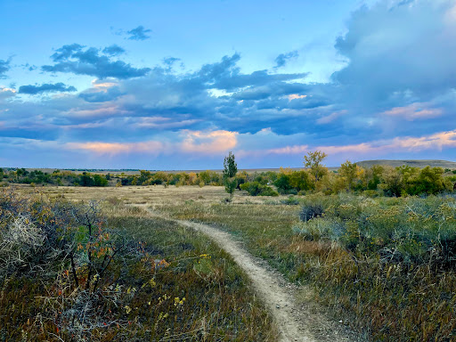 Group Camping Loop - Visual