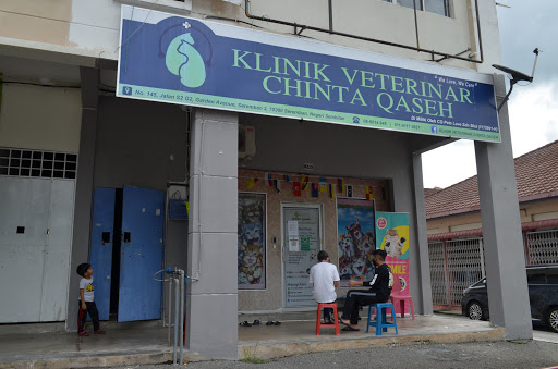 Vet Chinta Qaseh • Klinik Kucing Seremban 2