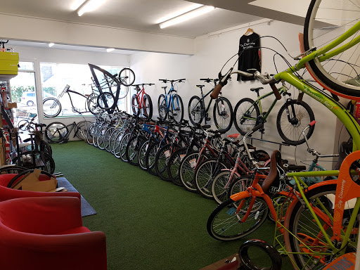 Jayz cycles - Visual
