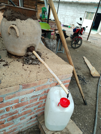 Mezcal Vive Gallery - Mexico