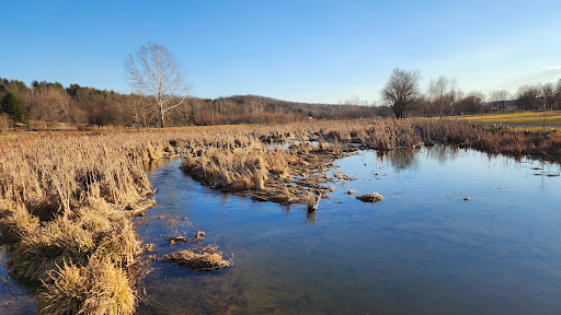 Woodsboro Park - Thumbnail