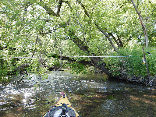 Ice Age Trail: Robertson Trailhead (Lodi-Springfield Rd) Gallery - United States