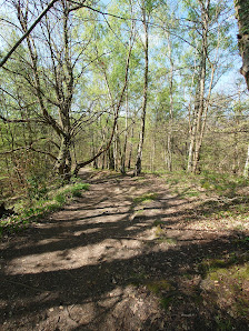 La forêt de la Grange All. Royale, 91330 Yerres, France