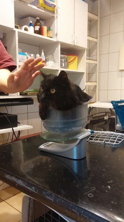 veterinary-care