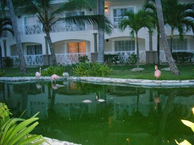 Photos of Be Live Grand Punta Cana