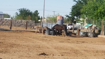 The Original Underwood Stables