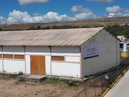 Centro de acopio El Tepetate SEGALMEX - Thumbnail