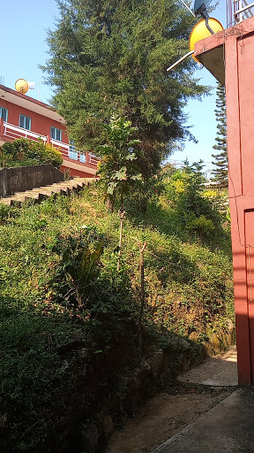 Hotel Gali