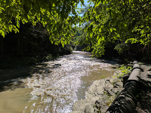 East Ithaca Nature Preserve - Thumbnail