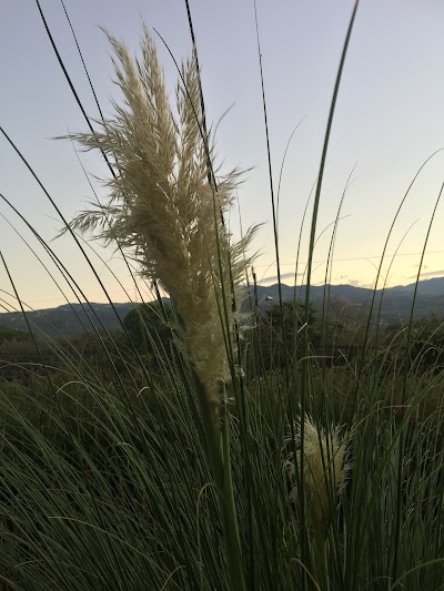 Photos of Cooltour - Costa Rica