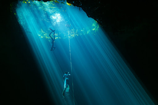 Freedive Utopia | Cenotes & Reef