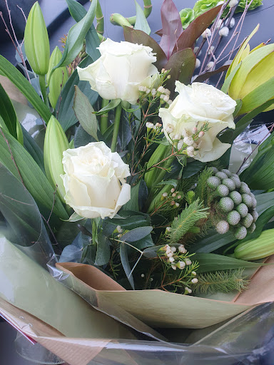 FOREST Flower Studio - Visual