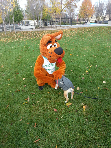 Scoopy Doo Canine Waste Removal Inc. - Thumbnail