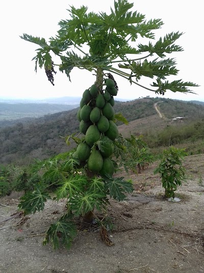 Photos of Finca "Los Freddys"