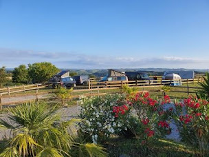 Photo n°60 de Ferme decouverte Asinerie de Pierretoun, randonnées avec ânes à La Bastide-Clairence (Zoo)