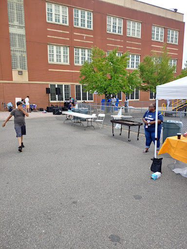 P.S. 66 Mini-Pitch