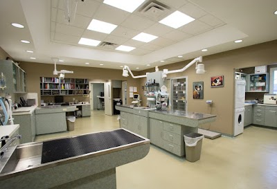 Colony Animal Hospital