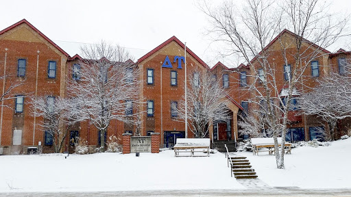 Delta Upsilon - Visual