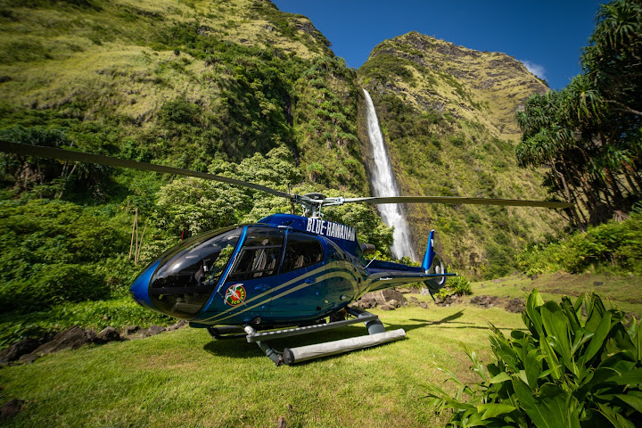 Blue Hawaiian Helicopters by null