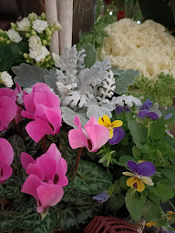 Photo n°6 de Casti'Fleurs & Co - Fleuriste à Châtenois (Fleuriste)