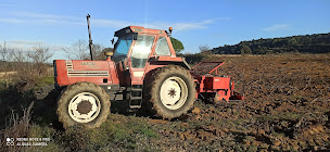 Photo n°11 de Dupy Terragri à Saint-Pargoire (Société de transport routier)
