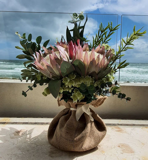 Bayside Flowers Gallery - Australia