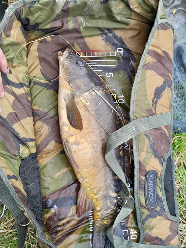 Benlee Fishing