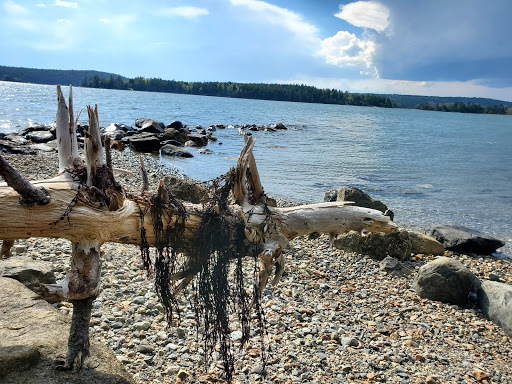 Pretty Marsh Picnic Area - Thumbnail