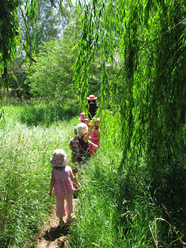 River Song Waldorf School - Thumbnail