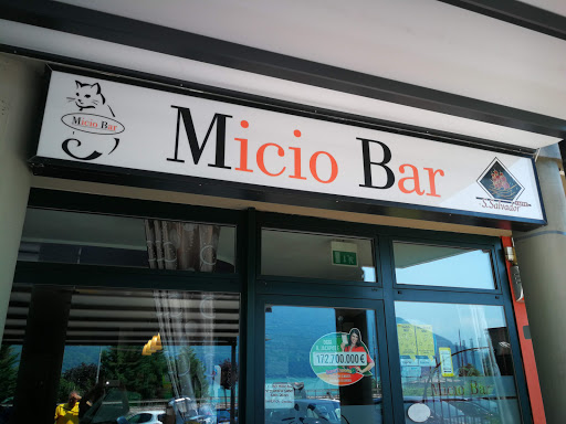 Micio Bar - Visual