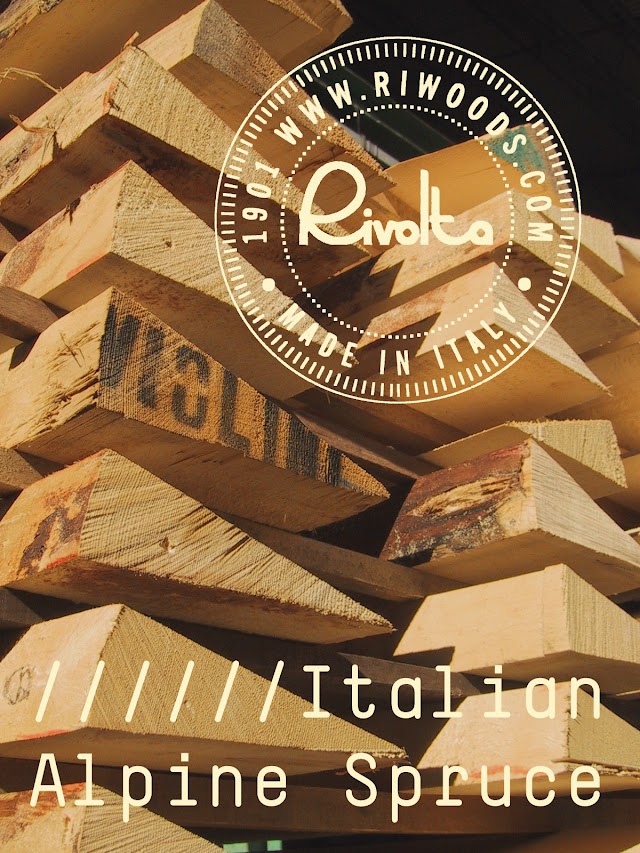 RIVOLTA snc di ANDREA RIVOLTA & C.