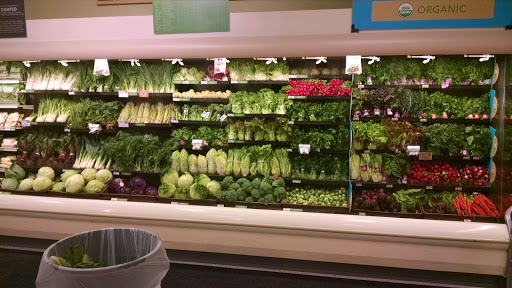 Publix Super Market at Indian Lake Marketplace - Thumbnail