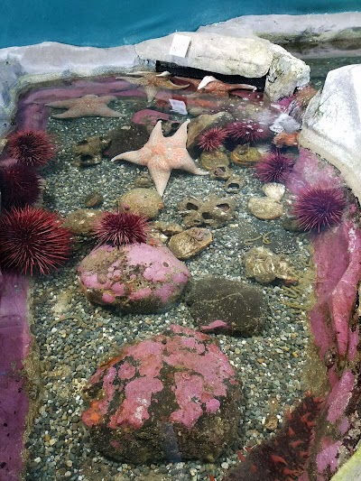 Port Townsend Marine Science Center