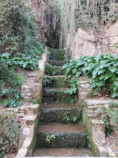 Alhambra Forest - Visual