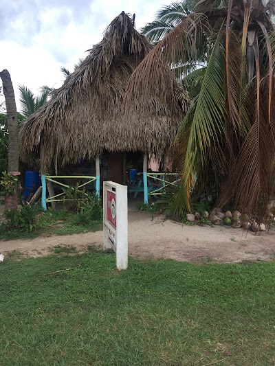 Photos of Herbal Healers Tea Bar
