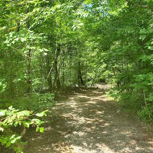 Red Mill - Visual