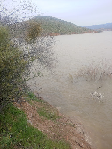 Roosevelt Lake Beach Gallery - United States
