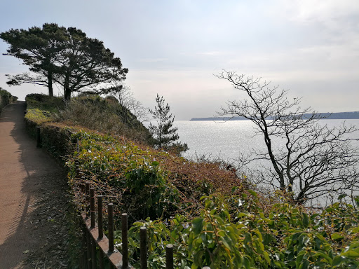 Roundham Head - Visual