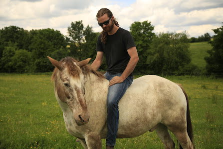 Valentin Haas Horsemanship Reisingerstraße 12, 86159 Augsburg, Deutschland