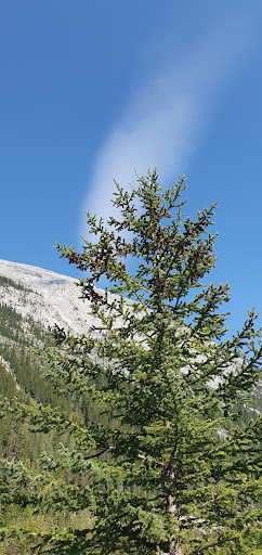 Spray Lakes View Point - Visual